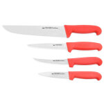 Set fischer 4 couteaux professionnels acier inox