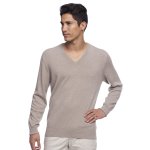 Pull cachemire col v roland