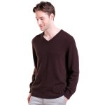 Pull cachemire col v roland