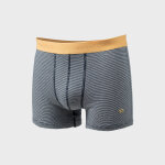 Boxer en coton biologique navy stripes