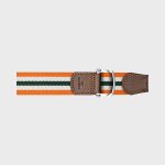 Ceinture sangle roland