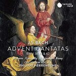 Advent cantatas