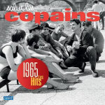 Album double 2x lp 33t 12 ; vinyle  ; salut les copains 1965 les hits  ; 28 titres 2014 , brigitte bardot ...