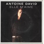 Antoine david : elle m aime / palissade song [vinyle 45 tours 7 ; ] 1989