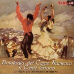 Antologia del cante flamenco