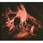 Astral mantras ofdyslexia