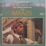 La belle au bois dormant
