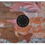 A benefit compilation for tarantula hill (cris corsano, carlos giffoni, lee ranaldo, leslie keffer. . ...