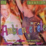 Best of ambiance fete