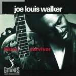 Blues survivor Blues survivor