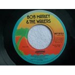 Bob marley & the wailers / sun is shining / jamming