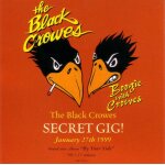Boogie with crowes