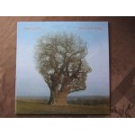 Brave new world  live at madison square garden, new york city 2 - 7 - 1977  (vinyl bleu marbr� a tirage ...