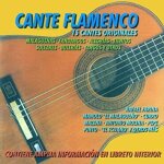 Cante flamenco 15cantes originales