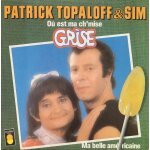 O� est ma chemise grise