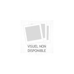 Chopin, ange ou dmon ? - cd album