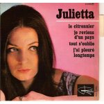 Le citronnier ( lemon tree ) (will holt, luc romann)