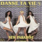 Danse ta vie (version fran�aise de flashdance what a feeling) 3'50 (k. forsey - i. cara - g. moroder ...