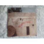 David bowie resurrection 2lp live nassau coliseum 76