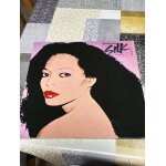 Diana ross silk electric