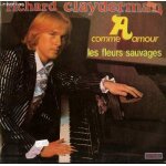Disque vinyle 33t a comme amour. les fleurs sauvages / a l'ombre des glycines / le fragile parfum des ... Disque vinyle 33t a comme amour. les fleurs sauvages / a l'ombre des glycines / le fragile parfum des ...