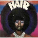 Disque vinyle 33t aquarius, donna, pot - pourri: sodomy, couloured spade, ain't got no, air, i got life, ...