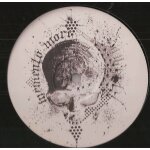 Dziki kot - memento mori 01