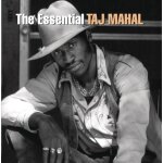 Essential taj mahal