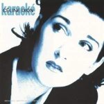 D'eux - karaok