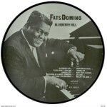 Fats domini / blueberry hill picture disc