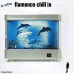 Flamenco chill in Flamenco chill in