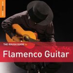 Flamenco guitar