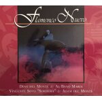 Flamenco nuevo