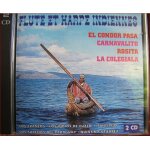 Flutes & harpes indiennes