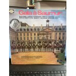 Gala a saumur