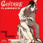 Guitare flamenco