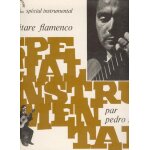 La guitare flamenco (special instrumental) La guitare flamenco (special instrumental)