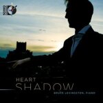 Heart shadow - bruce levingston
