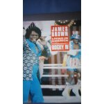 James brown living in america James brown living in america