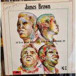 James brown , ils a new day so let a man come in James brown , ils a new day so let a man come in
