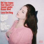 Lana del rey  did you know that there's a tunnel under ocean blvd vinyle vert