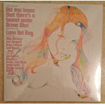Lana del rey � did you know that there�s a tunnel under ocean blvd (festival edition) 2024 lp