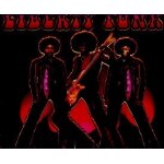 Liberty funk : 18 tracks 100 % funk