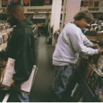 Livre: entroducing. . . dj shadow