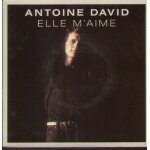 Elle m'aime (d. tardieu - a. david) - palissade song (d. tardieu - a. david)