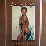 Mighty maytones - dennis brown - jimmy london - mike brooks - jimmy riley - leroy smart. . . . . : burning ...
