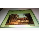 Musique folklorique du monde mexique