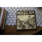 Nekez ari lehen aldea bigarren aldea donibane garazi 33t nek 01 Nekez ari lehen aldea bigarren aldea donibane garazi 33t nek 01