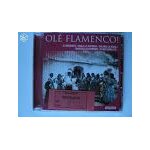 Ol� flamenco
