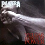 Pantera - vulgar display of power